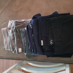 Loft pants/jeans lot (6 pairs)